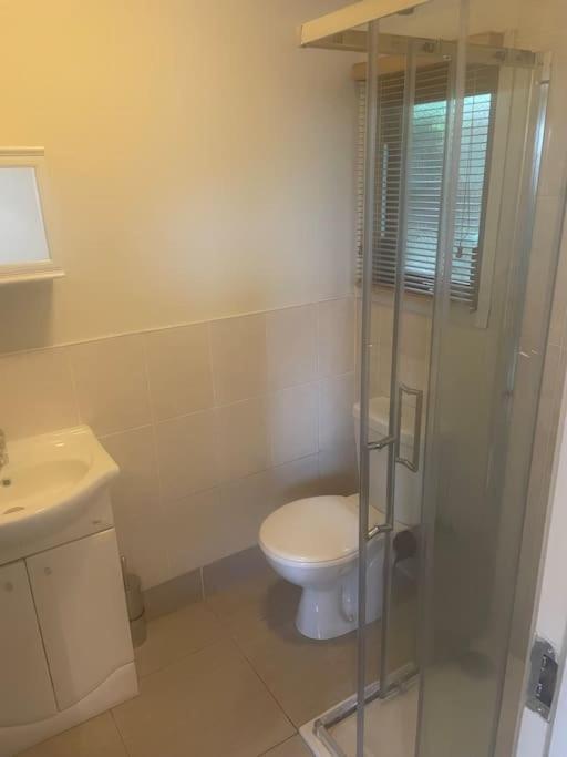 Self Catering Apartment At Beechwalk House. Enniskerry Kültér fotó